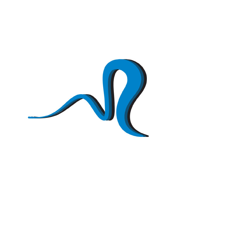 Animated Rivella swimwear brand identity